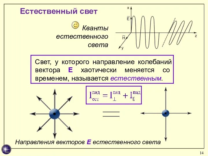 Естественный свет Кванты естественного света Направления векторов Е естественного света