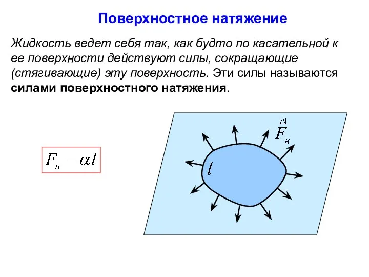 Жидкость ведет себя так, как будто по касательной к ее поверхности