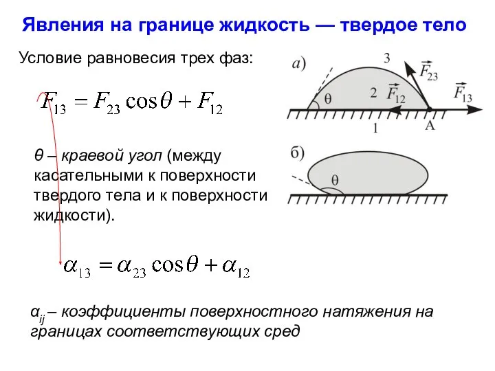 Явления на границе жидкость — твердое тело Условие равновесия трех фаз: