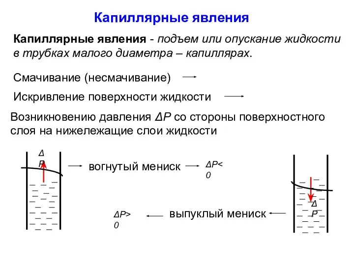 Капиллярные явления Капиллярные явления - подъем или опускание жидкости в трубках