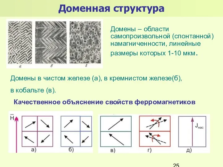 Доменная структура Домены – области самопроизвольной (спонтанной) намагниченности, линейные размеры которых