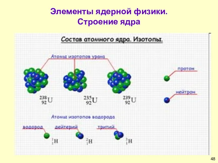 Элементы ядерной физики. Строение ядра