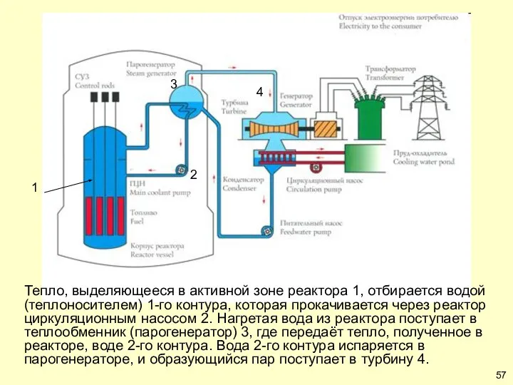 Тепло, выделяющееся в активной зоне реактора 1, отбирается водой (теплоносителем) 1-го