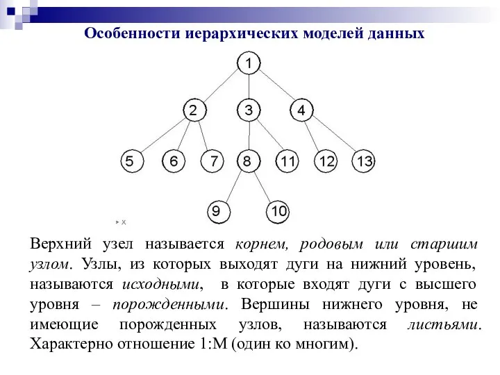 Особенности иерархических моделей данных Верхний узел называется корнем, родовым или старшим