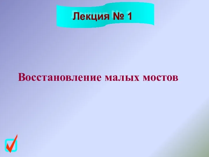 Лекция № 1 Восстановление малых мостов