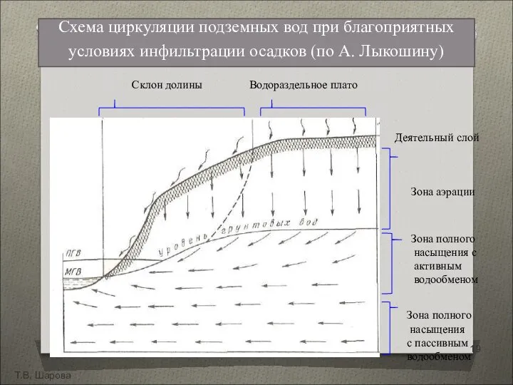 Т.В. Шарова Склон долины Водораздельное плато Деятельный слой Зона аэрации Зона