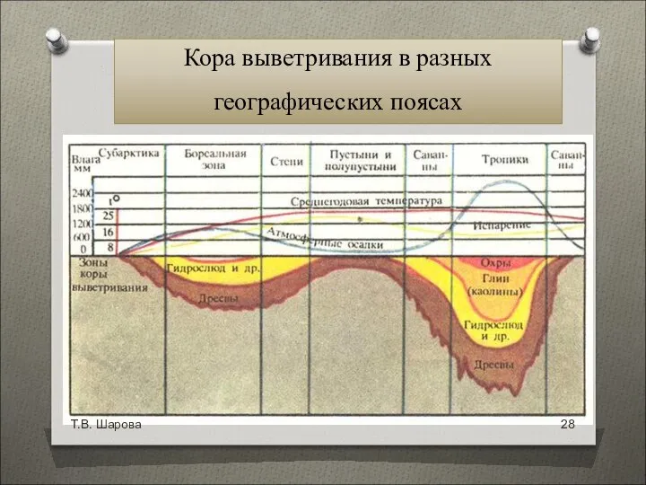 Т.В. Шарова Кора выветривания в разных географических поясах