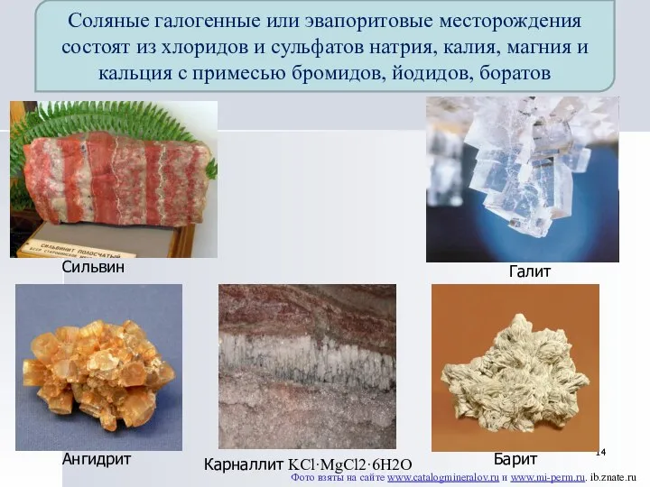 Соляные галогенные или эвапоритовые месторождения состоят из хлоридов и сульфатов натрия,