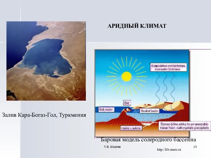 Т.В. Шарова Залив Кара-Богаз-Гол, Туркмения http://lib.znate.ru Баровая модель солеродного бассейна АРИДНЫЙ КЛИМАТ