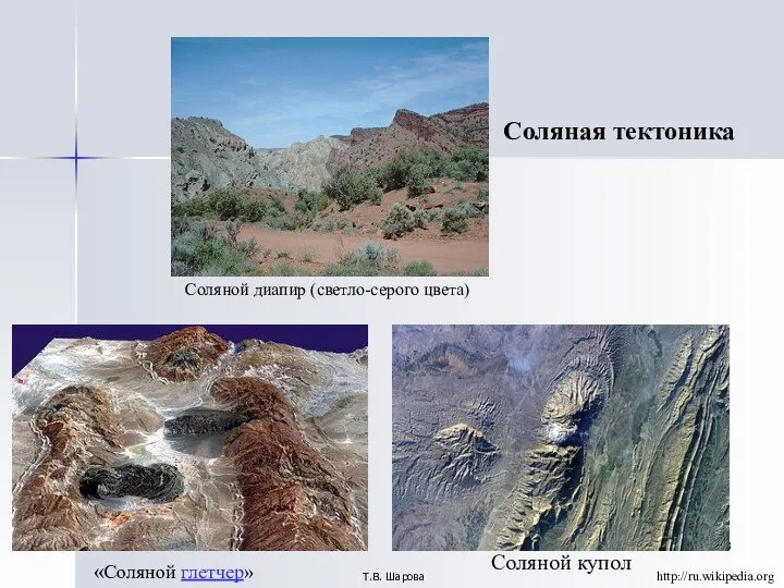 Т.В. Шарова Соляная тектоника Соляной купол Соляной диапир (светло-серого цвета) «Соляной глетчер» http://ru.wikipedia.org