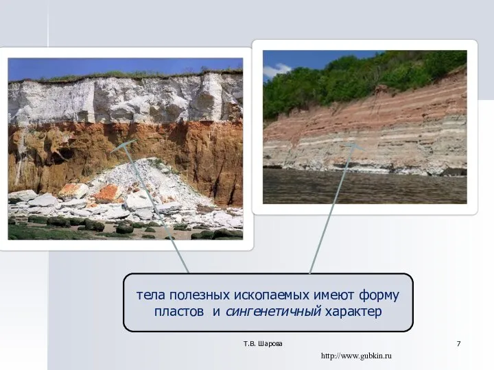 Т.В. Шарова тела полезных ископаемых имеют форму пластов и сингенетичный характер http://www.gubkin.ru