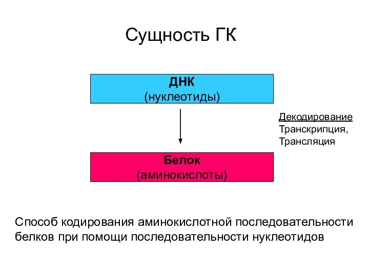 Сущность ГК ДНК (нуклеотиды) Белок (аминокислоты) Декодирование Транскрипция, Трансляция Способ кодирования