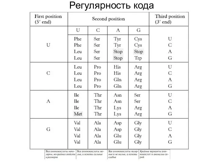 Регулярность кода