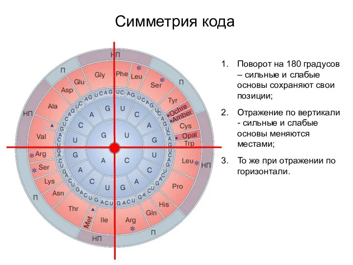 Симметрия кода Поворот на 180 градусов – сильные и слабые основы