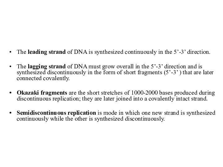 The leading strand of DNA is synthesized continuously in the 5’-3’