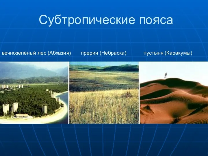 Субтропические пояса вечнозелёный лес (Абхазия) прерии (Небраска) пустыня (Каракумы)