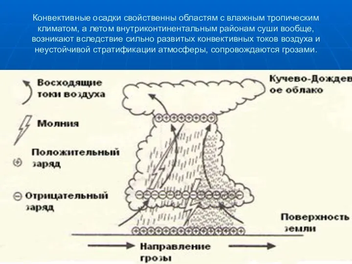 Конвективные осадки свойственны областям с влажным тропическим климатом, а летом внутриконтинентальным
