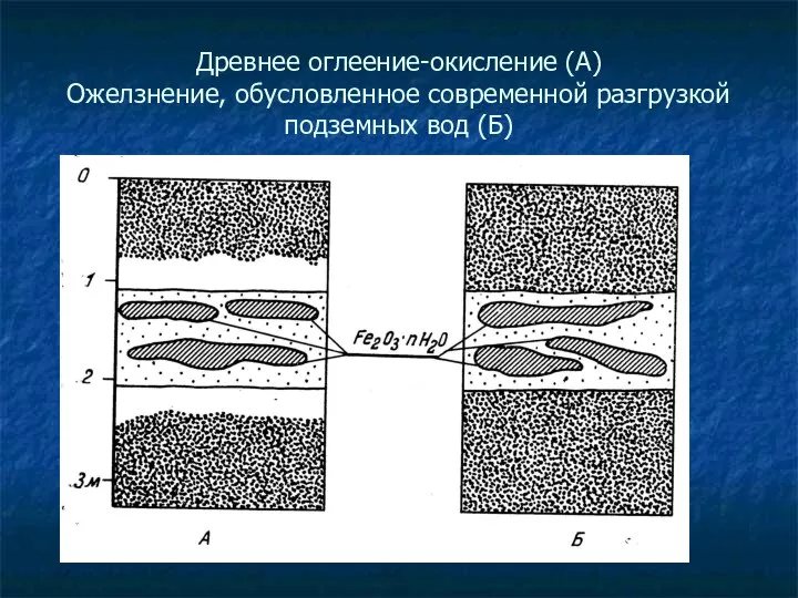 Древнее оглеение-окисление (А) Ожелзнение, обусловленное современной разгрузкой подземных вод (Б)