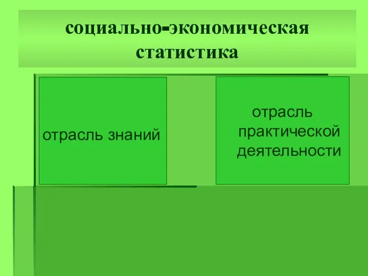 социально-экономическая статистика отрасль знаний отрасль практической деятельности