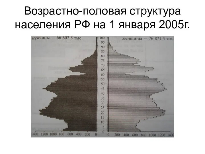 Возрастно-половая структура населения РФ на 1 января 2005г.