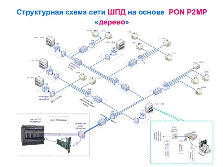 Структурная схема сети ШПД на основе PON P2MP «дерево»