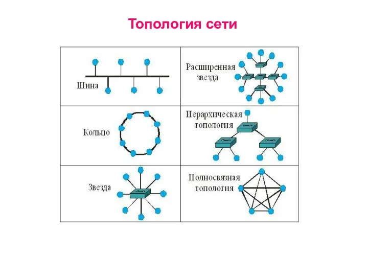 Топология сети