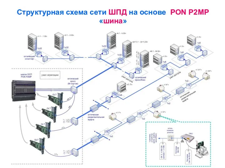 Структурная схема сети ШПД на основе PON P2MP «шина»