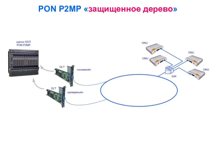 PON P2MP «защищенное дерево»