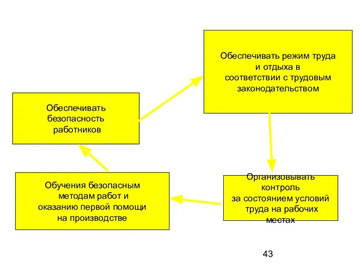 Обеспечивать режим труда и отдыха в соответствии с трудовым законодательством Организовывать