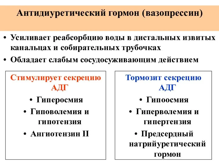 Антидиуретический гормон (вазопрессин) Стимулирует секрецию АДГ Гиперосмия Гиповолемия и гипотензия Ангиотензин