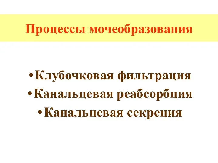 Процессы мочеобразования Клубочковая фильтрация Канальцевая реабсорбция Канальцевая секреция