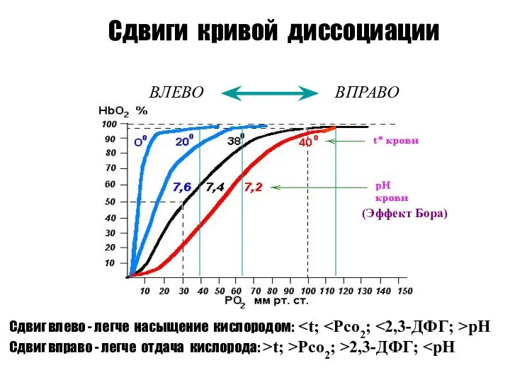 Сдвиги кривой диссоциации ВЛЕВО ВПРАВО Сдвиг влево - легче насыщение кислородом: