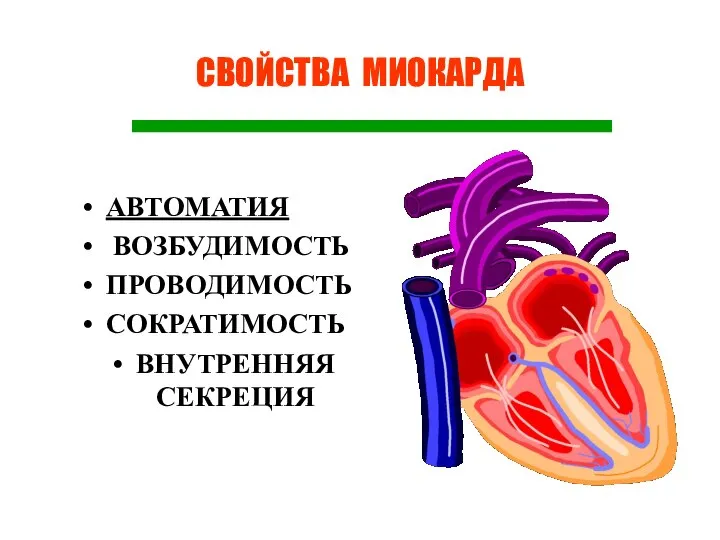 СВОЙСТВА МИОКАРДА АВТОМАТИЯ ВОЗБУДИМОСТЬ ПРОВОДИМОСТЬ СОКРАТИМОСТЬ ВНУТРЕННЯЯ СЕКРЕЦИЯ