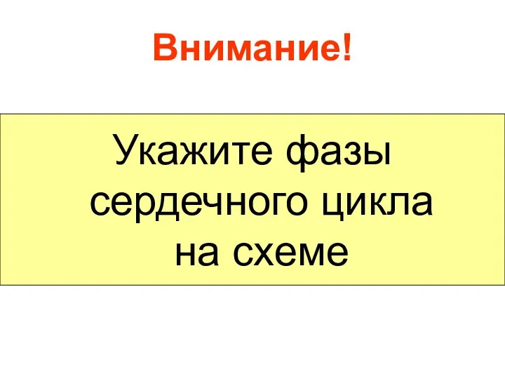 Внимание! Укажите фазы сердечного цикла на схеме