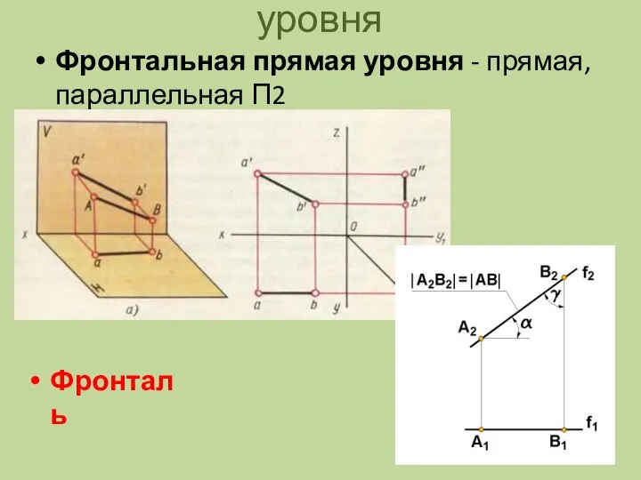 уровня Фронтальная прямая уровня - прямая, параллельная П2 Фронталь