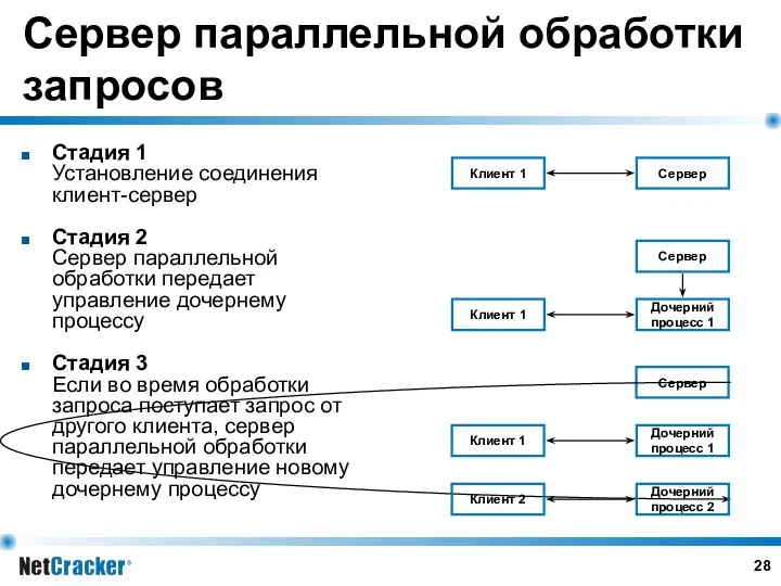 Сервер параллельной обработки запросов Стадия 1 Установление соединения клиент-сервер Стадия 2