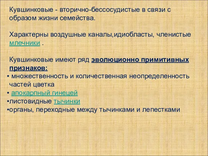 Кувшинковые - вторично-бессосудистые в связи с образом жизни семейства. Характерны воздушные