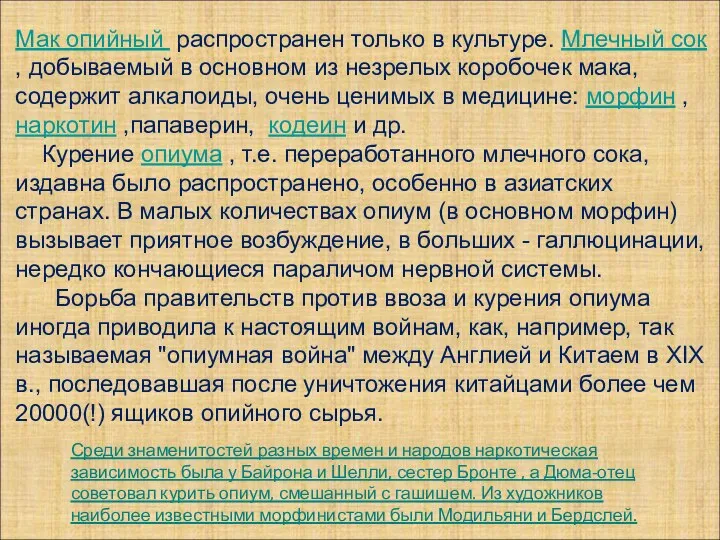 Мак опийный распространен только в культуре. Млечный сок , добываемый в