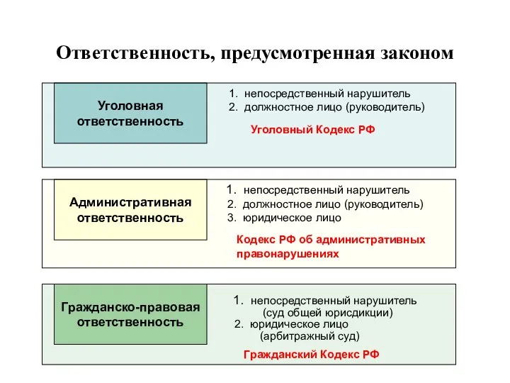 Ответственность, предусмотренная законом Уголовная ответственность непосредственный нарушитель должностное лицо (руководитель) Уголовный