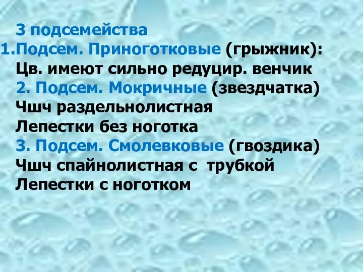 3 подсемейства Подсем. Приноготковые (грыжник): Цв. имеют сильно редуцир. венчик 2.