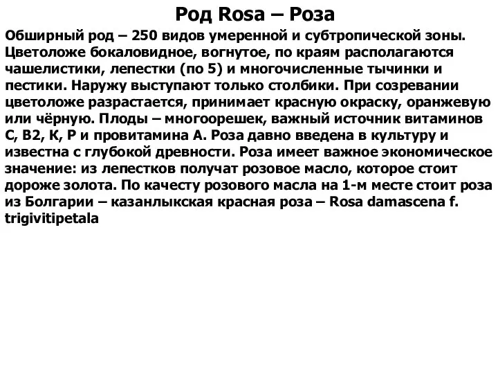 Обширный род – 250 видов умеренной и субтропической зоны. Цветоложе бокаловидное,