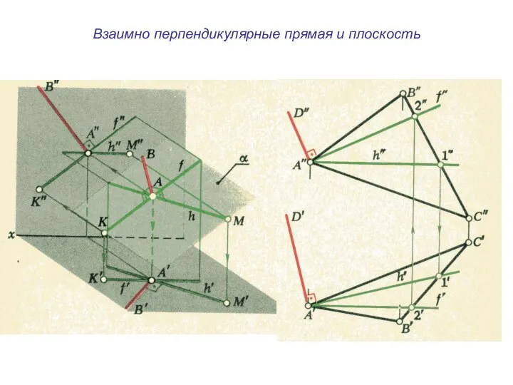 Взаимно перпендикулярные прямая и плоскость