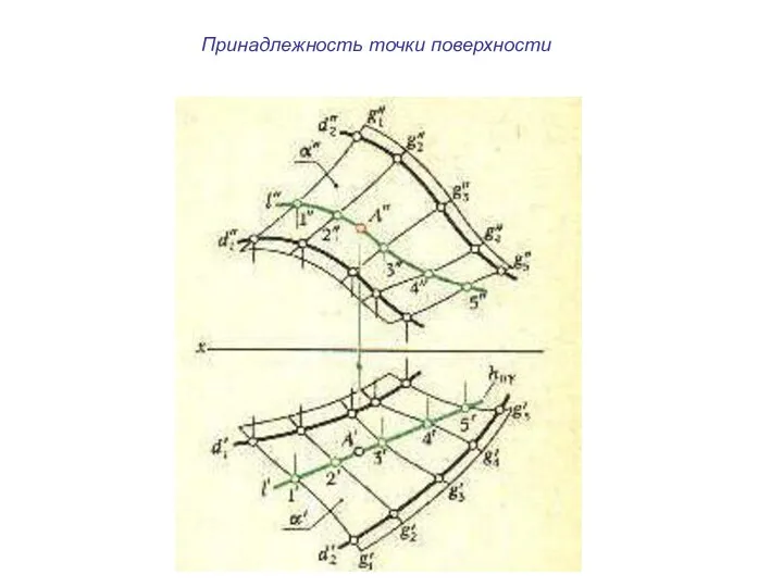 Принадлежность точки поверхности