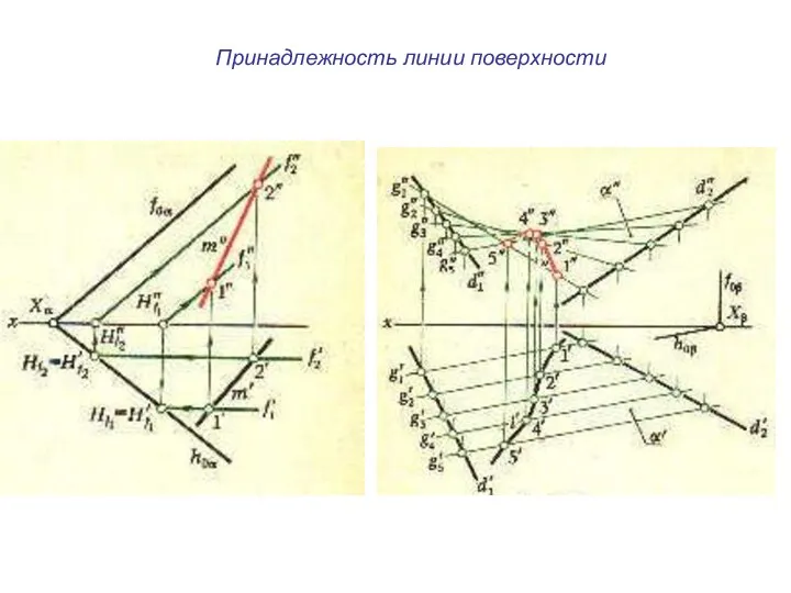 Принадлежность линии поверхности