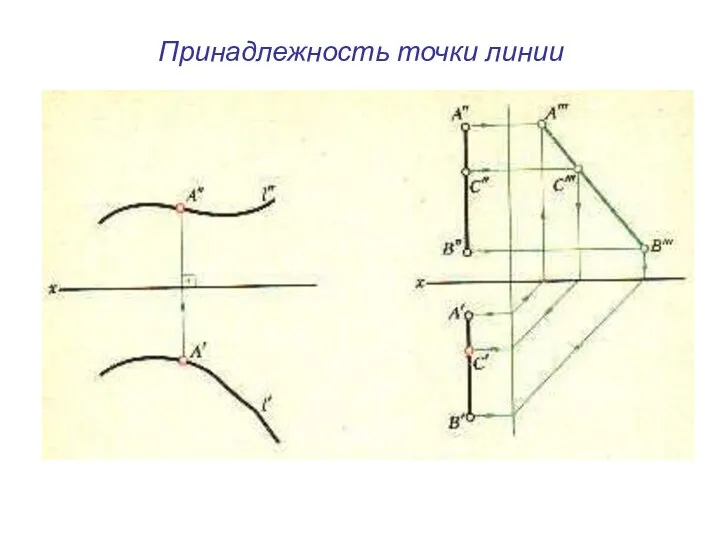 Принадлежность точки линии