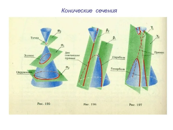 Конические сечения