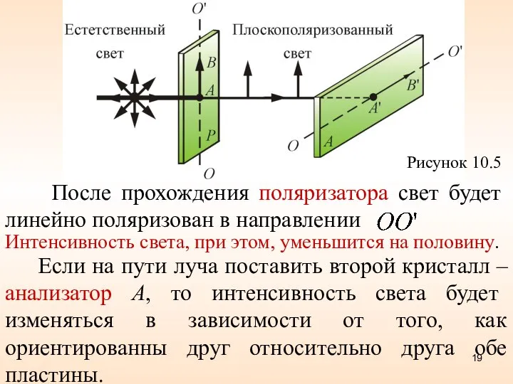 Рисунок 10.5 После прохождения поляризатора свет будет линейно поляризован в направлении