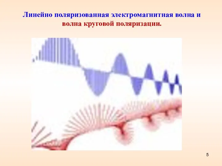 Линейно поляризованная электромагнитная волна и волна круговой поляризации.