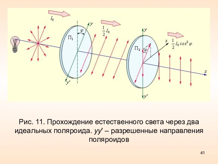 Рис. 11. Прохождение естественного света через два идеальных поляроида. yy' – разрешенные направления поляроидов