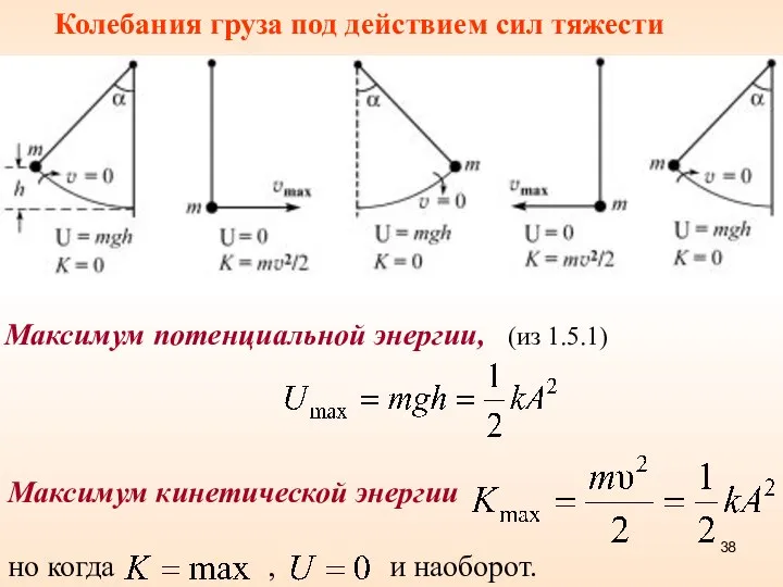 Колебания груза под действием сил тяжести Максимум потенциальной энергии, (из 1.5.1)